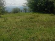 SE VENDE LOTE SOBRE VIA PPAL EN VITERBO CERCA A RIO BRAVO