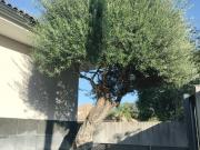 SE VENDE magnifico chalet independiente en el Altillo