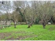 SE VENDE NAVE EN MUNGIA