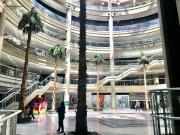 Local.Se Alquila /Vende/ 450m2 / 2B CC el Recreo. terraza