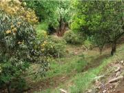 Se vende o se permuta casa con terreno via Alcala