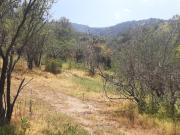 Se Vende Parcela 10.000 M2 Eastman Limache