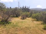 SE VENDE PARCELA 10.000 M2 EASTMAN LIMACHE