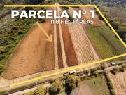 SE VENDE PARCELA 11,8 Hás.SECTOR PORVENIR PALMIRA ABAJO,...
