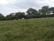 SE VENDE PARCELA 17 HECTAREAS ASTILLERO A COLIMA