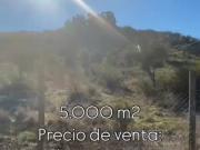 Se vende parcela 5000 mts con agua y luz Litueche