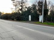 SE VENDE parcela 5.000 m2, predio El Rancho
