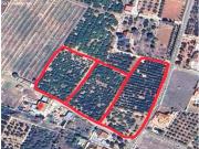 SE VENDE PARCELA DE 13 HANEGADAS EN MARXUQUERA EN PLENA... SE VENDE PARCELA DE 13 HANEGADAS EN MARXUQUERA EN PLENA...