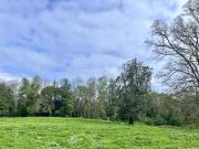 SE VENDE Parcela de 5000 m2 a 3 min. de Osorno en NUEVO...