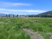 SE VENDE PARCELA DE 5000 M2 EN SAN VICENTE