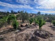 Se vende parcela de 5.000 m² con casa en Altos de...