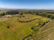 Se vende parcela de 5.000m2 con electricidad en... Se vende parcela de 5.000m2 con electricidad en...