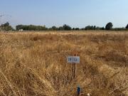 Se vende parcela de agrado de 5.000 m2 en Pangue...