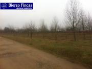 Se vende parcela edificable de 5000m2 en Camponaraya