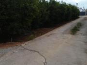 SE VENDE PARCELA EN ALMAZORA