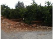 SE VENDE PARCELA EN ALMAZORA