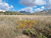 SE VENDE PARCELA EN CAÑADA DE LA LEÑA ABANILLA SPAIN