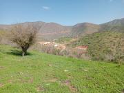 Se vende parcela en Fundo lo Aguila, Curacaví