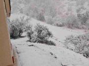 Se vende parcela en Fundo San Francisco de Los Andes