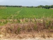 Se Vende Parcela en la comuna de Paine