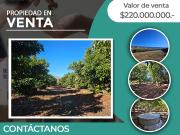 Se vende parcela, en Palquico, Santa Julia, Petorca