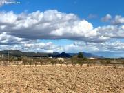 SE VENDE PARCELA EN PINOSO ALICANTE