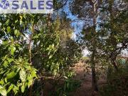 SE VENDE PARCELA EN SANTA APOLONIA, VEDAT DE TORRENT