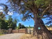 Se Vende Parcela Fundo Frutillar 5000 m2