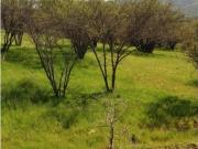 SE VENDE PARCELA LIMACHE LOS LAURELES