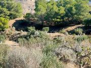 SE VENDE PARCELA RURAL EN ASPE ZONA TRES HERMANAS