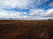 Se vende parcela rustica de secano de 2 hectareas