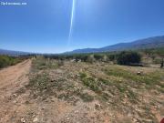 SE VENDE PARCELA RUSTICA EN ABRUCENA ZONA CAMPILLO