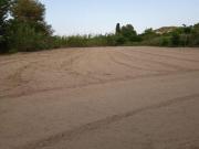 SE VENDE PARCELA RÚSTICA EN ALGUAZAS