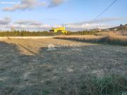 SE VENDE PARCELA RUSTICA EN ASPE