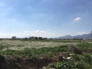 SE VENDE PARCELA RÚSTICA EN LA HOYA DE LORCA