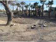 SE VENDE PARCELA RUSTICA EN LA ZONA DE SAN FULGENCIO