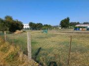 Se vende parcela rústica en Laredo