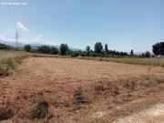 SE VENDE PARCELA RÚSTICA EN SAN ANDRÉS DE 1.520 M2 SE VENDE PARCELA RÚSTICA EN SAN ANDRÉS DE 1.520 M2