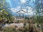 SE VENDE PARCELA SEGREGABLE EN PORRIÑO