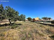 SE VENDE PARCELA URBANA EN BONANZA