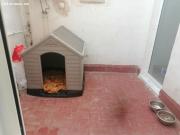 Se vende piso en Silla, Valencia