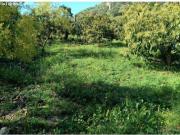SE VENDE PRECIOSO FINCA RÚSTICA EN VIADUCTO DE RÍO JATE
