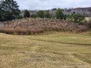 Se Vende Predio de 55 Háreas con 8 Há de Avellanos –...