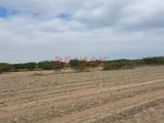 Se Vende Predio Rural “La Ponderosa” Distrito De “El Carmen”