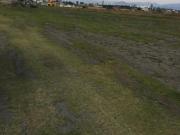 SE VENDE PROPIEDAD EN METEPEC EDOMEX EN TORRES Y...