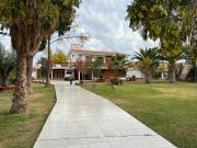 Se vende propiedad en Palmira