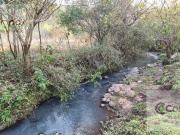 SE VENDE QUINTA DE 5 HA con Casa en Posadas. Misiones