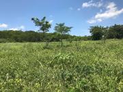Rancho en venta en Abelardo L Rodriguez, Cancún, Chiapas
