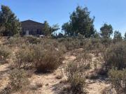 Se vende rancho en El Hongo, Tecate B.C