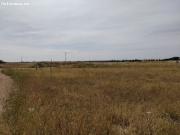 Se vende solar de 4242m2 en camino Santa Maria / Poligono 20